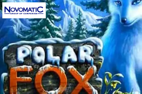 Polar Fox